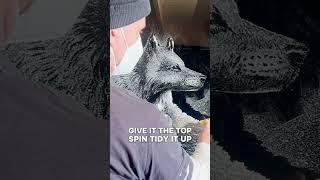 Creating a fox with snow spray #tutorial #art #snowart #sprayart