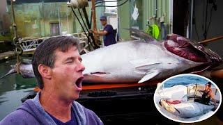 The crew caught a giant tuna, The fish was of very high quality and was paid $10,000