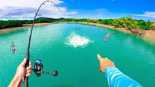 Chasing Australia's MOST ICONIC Fish.