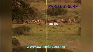 PARD DS35LRF - Teste calculadora balistica