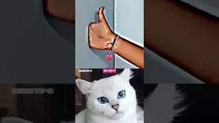 DAY - 9 Aura cat funny #funny #cat #dance #shorts