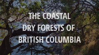 The Coastal Dry Forests of British Columbia