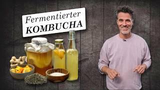 Making Kombucha yourself