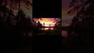 Música Suave Para Dormir, Estudar, Meditar e Sonhar #fe #reflexão  #conhecimento #shorts #feedshorts