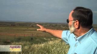 SaltCedar HighPlains YouTube