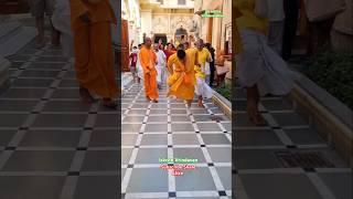iskcon Vrindavan darshan gurupuja kirtan #iskcon #vrindavan #darshan #kirtan #shorts #viral #krishna