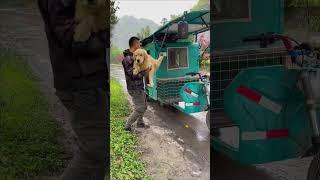 The homeless man put the golden retriever into the car to shelter from the rain