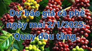 Dự báo giá cà phê ngày mai 2/1/2025: Quay đầu tăng.