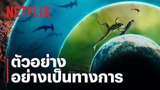 โลกที่เราอยู่ (Our Living World) | เคท แบลนเช็ตต์ | ตัวอย่างสารคดีอย่างเป็นทางการ | Netflix