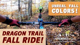 Best fall color ride | Mountain bike | Dragon Trail