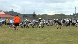 Metro Lions COLTS (06) vs Hamilton Hawks COLTS  2013