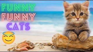 2 HOUR BEST FUNNY CATS COMPILATION 2024 | The Best Funny And Cute Cat Videos 35 ! 