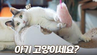 큰일이에요... 쫀니랑 놀다가 심장마비 올 뻔했어요... (너무 귀여워서)