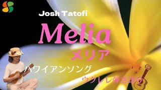 【Melia メリア】Josh Tatofi  ウクレレ弾き語り　歌詞・和訳付き　ハワイアンフラソング