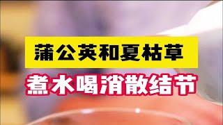 蒲公英和夏枯草，煮水喝消散结节！这是真的吗？郭医生：假的，属于谣言