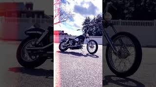 The heartbeat of FREEDOM.  #shovelhead #harleydavidson #chopper