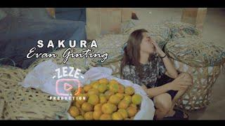 SAKURA || EVAN GINTING || CIPT:MBURAK GINTING