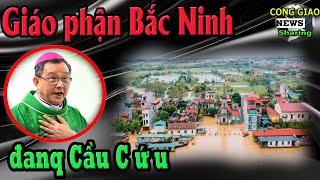 Giáo phận Bắc Ninh đanq Cầu C ứ u