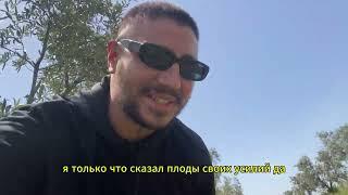 Смерть отца. Оливковые плантации. Под Оливковым Деревом.