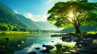 Soothing music for nerves  Therapeutic music for the heart and blood vessels, relaxation