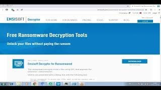 Free Ransomware Decryption Tools Unlock your files without paying the ransom