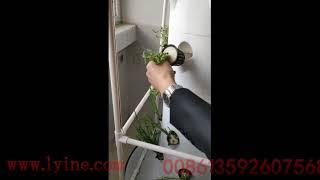 aeroponic tower system