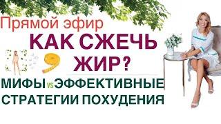 ️КАК СЖЕЧЬ ЖИРМИФЫ и ЭФФЕКТИВНЫЕ СТРАТЕГИИ ПОХУДЕНИЯ эфир Врач эндокринолог диетолог Ольга Павлова