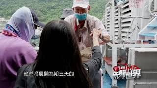 LiMA新聞世界第544集　預告【重返記憶之島】