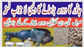 How to increase milk cowlBuffalo Doodh bdhane ka tarika No.1desi nuskha ll