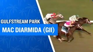 2025 $215,000 Mac Diarmida Stakes Presented by FanDuel TV (G2) at Gulfstream Park