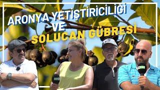 ARONYA YETİŞTİRİCİLİĞİNDE SOLUCAN GÜBRESİ KULLANIMI | SEKTÖR HABER | HASTÜRK GÜBRE