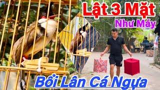 Tuyền 2 SIÊU PHẨM CÁ NGỰA | Bộ Hình Phách Nết Đẳng Cấp | LẬT CẦU NHƯ MÁY Đấu 3 MẶT RÊ NGANG Siêu Đẹp