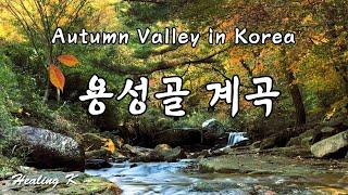 4k 괴산 용성골 계곡 물소리 | Autumn Valley in Korea | Relaxing Healing