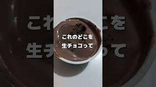 もはや生チョコアイスを食べた正直過ぎる感想