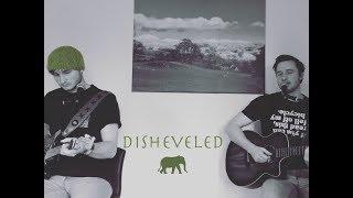 Disheveled-David Gaskell