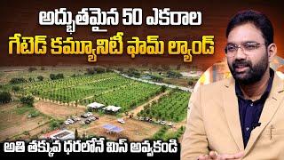 Mega Gated Community Farm Lands for Sale Near Jinnaram, Hyderabad | #sumantvworld