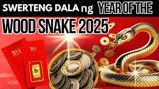 2025 CHINESE HOROSCOPE Gabay sa Swerte at Kapalaran for the Year of the Wood Snake