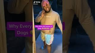 Druskitv when th0ts are scared of dogs