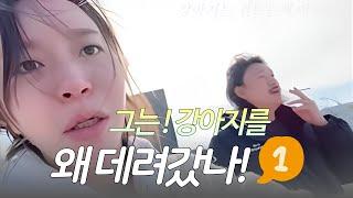 그는 강아지를 왜 데려갔나(1)#부천#부천유튜버#감성여울#송불R#김윤태