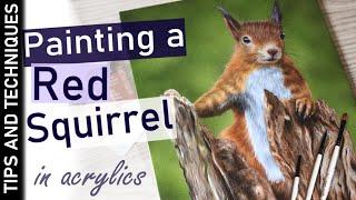 How to paint a realistic Red Squirrel | Acrylic painting tips