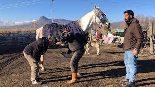 Köy köy gezip at nalı çakıyor