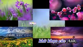 KaraOke Giấc Ngủ Trắng | Nguyên Trường | Full Beat Gốc