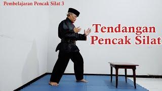 The Ultimate Guide to Pencak Silat Kicks for Self-Defense