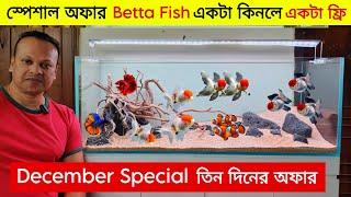 Aquarium Price In BangladeshAquarium Fish Price In Bangladesh 2024 Aquriam Fish Price BD