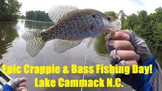 Epic Day of Crappie & Bass Fishing Lake Cammack NC.