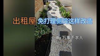 出租屋免打理侧院这样改造 花园小径 多年生植物 耐寒 抗旱