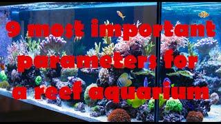 The 9 most important parameters for a reef tank