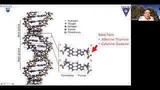 Materials Genome and CALPHAD (ASM Cleveland Chapter, 2020 11 10 )