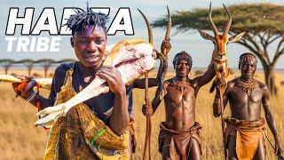 Cultural Culinary Adventures | The Hadzabe’s Porcupine Cooking Rituals | A Wild Taste  Compilation