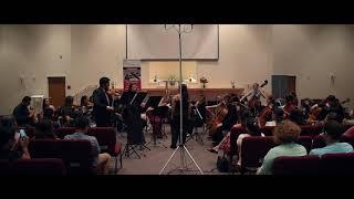 Bach - Double Concerto in D minor, BWV 1043 / ArCoNet Youth Orchestra